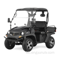 200cc, UTV mit hoch-niedriger Speed-Schwarz